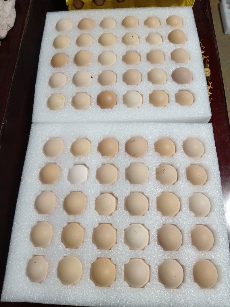 土鸡蛋1件代发