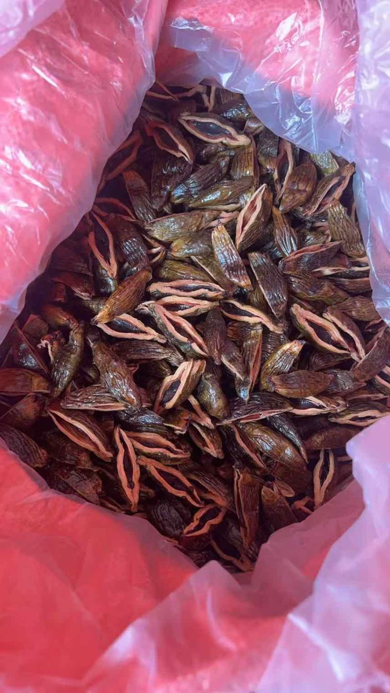 新品半斤，三两三，陈皮槟榔。