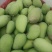 🥭芒果（台龙）