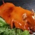 烤乳猪厂家直销量大从优