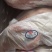烤乳猪厂家直销量大从优