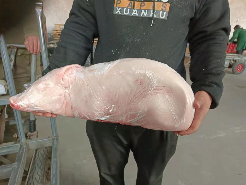 烤乳猪厂家直销量大从优