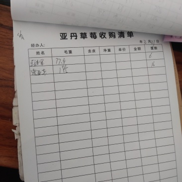商丘双八镇徐庄大队，美都西瓜，40左右瓜。