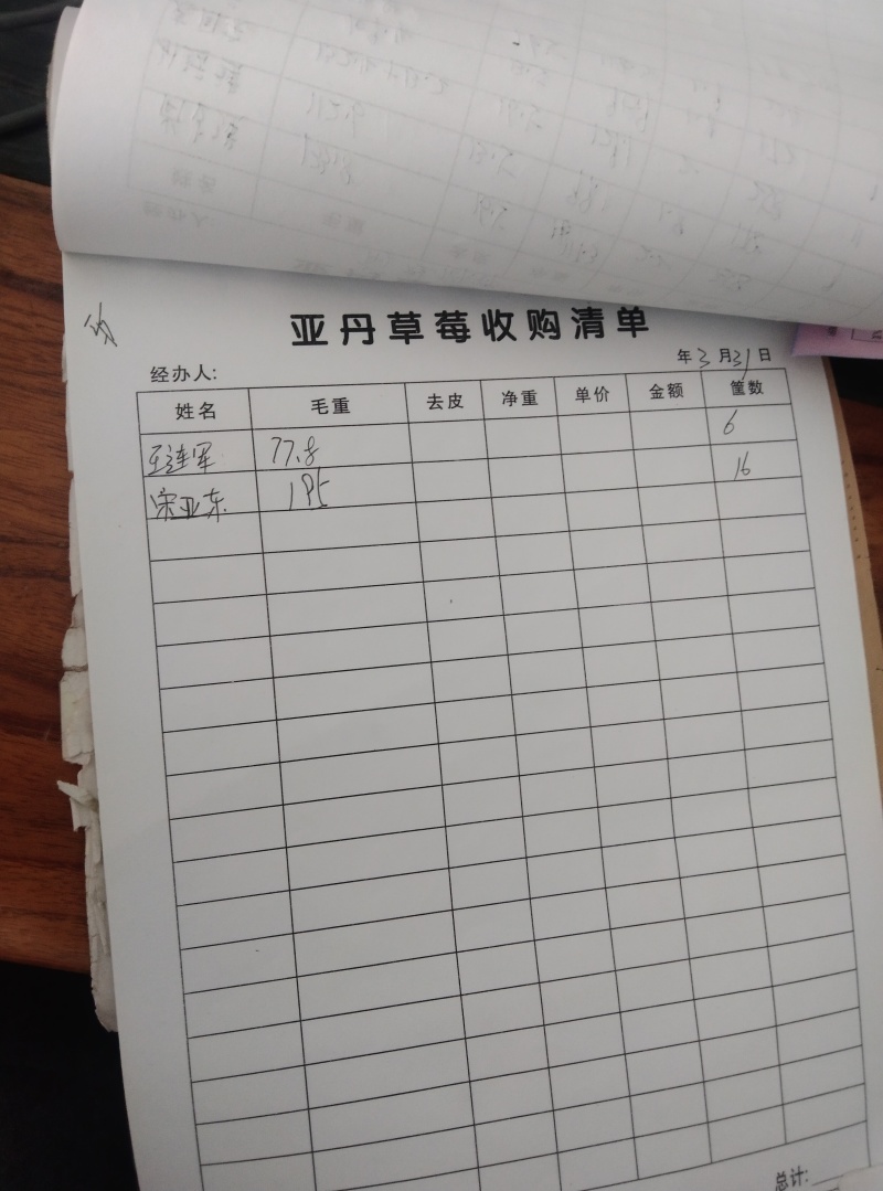 商丘双八镇徐庄大队，美都西瓜，40左右瓜。