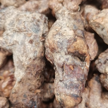 正品纯野生的干土茯苓原产地直销欢迎联系了解详情
