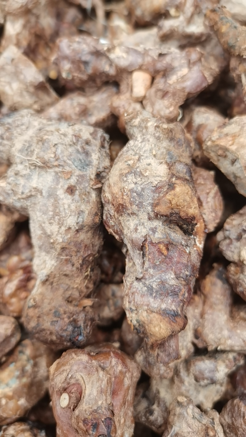 正品纯野生的干土茯苓原产地直销欢迎联系了解详情