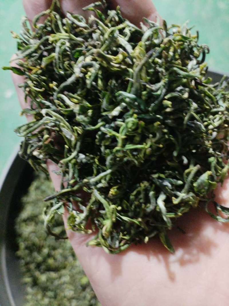 日照绿茶