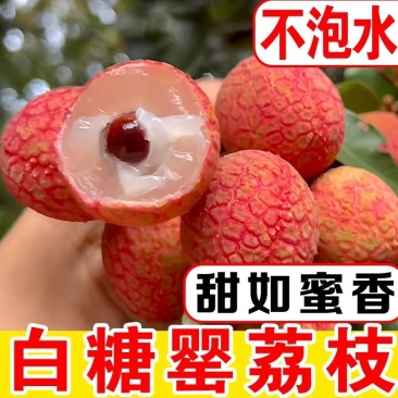 高州白糖罂妃子笑荔枝