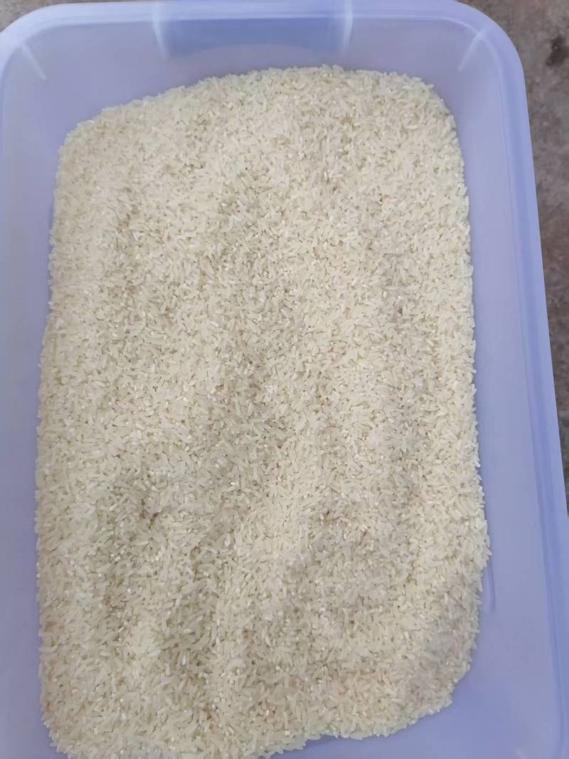 欢浪长粒香大米10斤装新稻谷现磨不抛光不打蜡家用