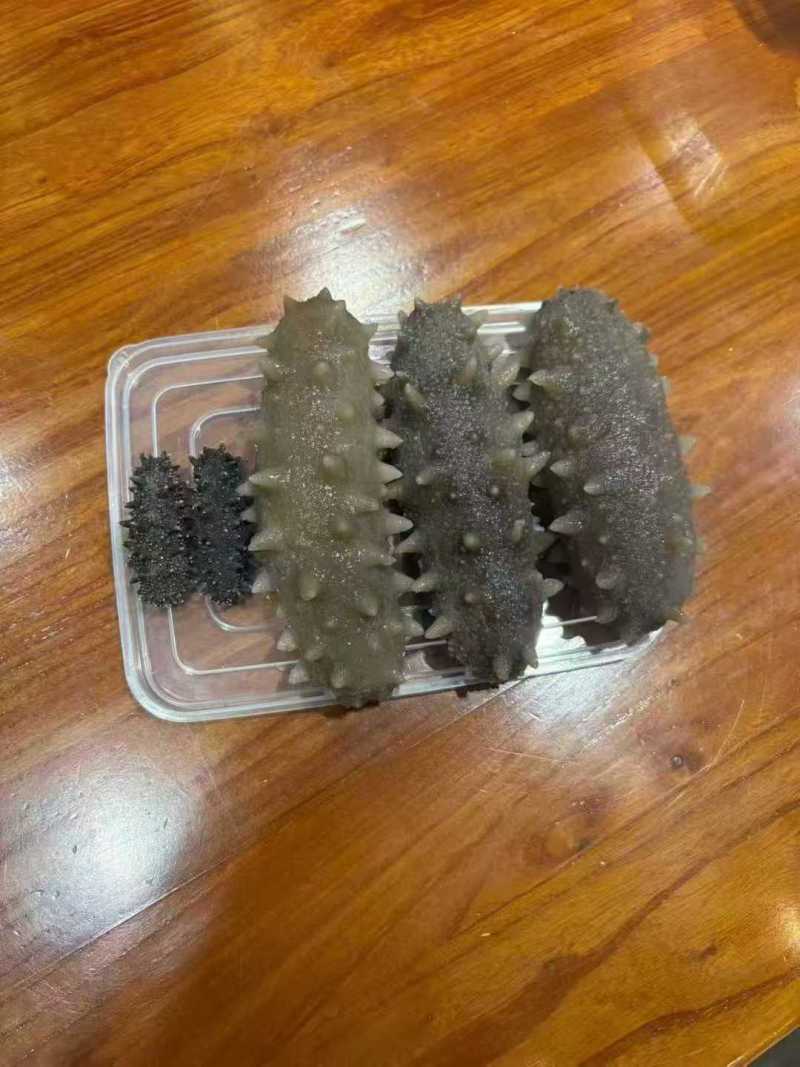 淡干海参
