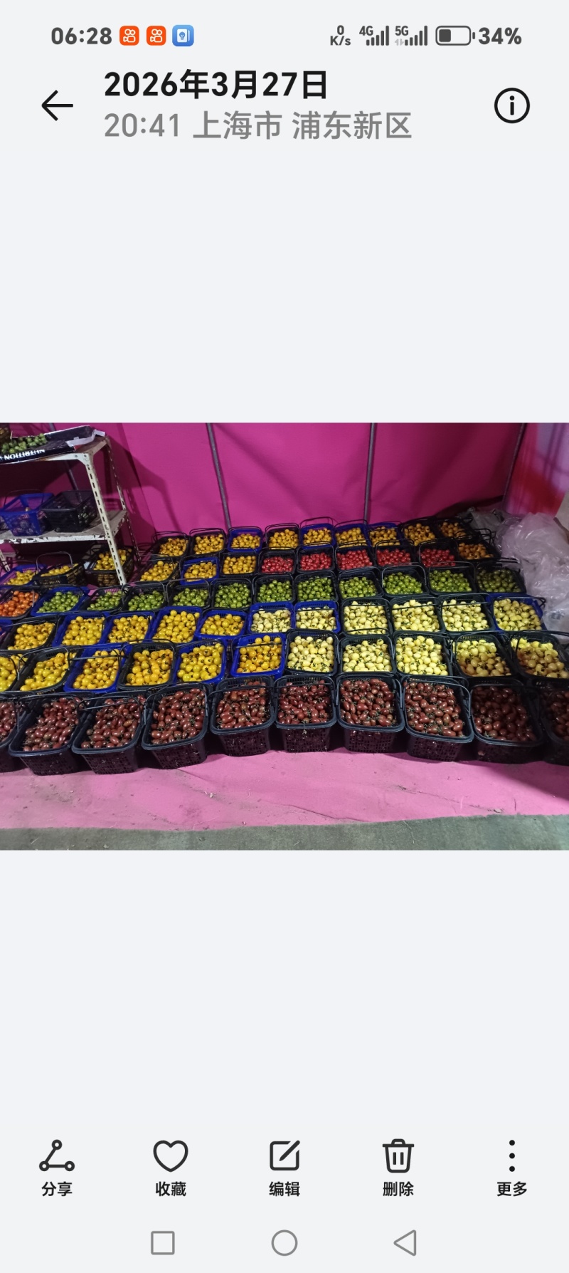 小番茄