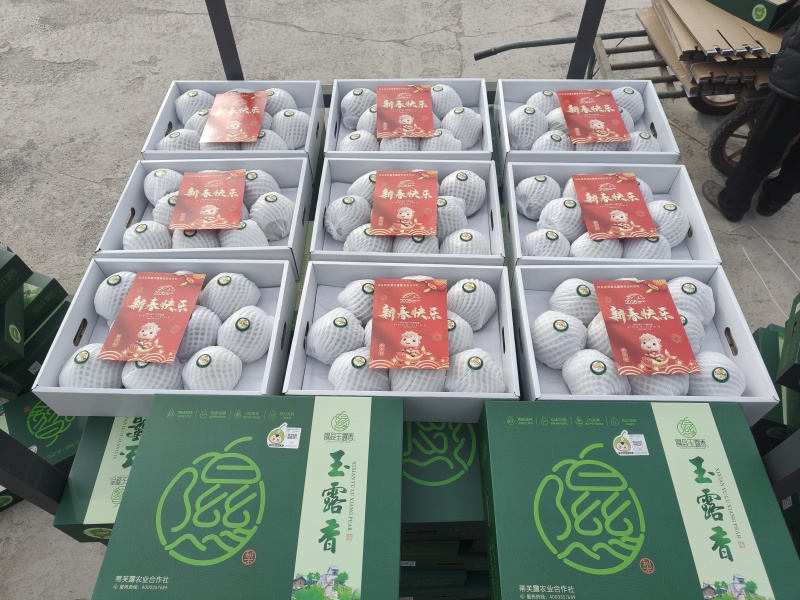 隰县玉露香梨