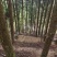 大米，大鹅，山货泡酒，农家菜干，天麻鲜品，土鸡蛋，鹅蛋。