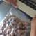 笋虫养殖场直供，直供笋虫，种虫，源头直供没有中间商，品质**