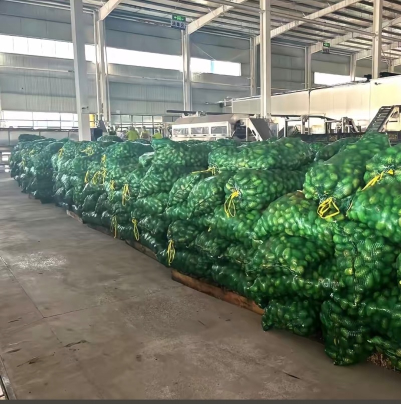 广东香水柠檬榨汁果