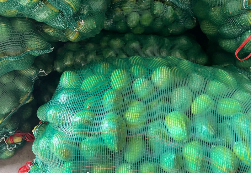 广东香水柠檬榨汁果