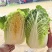 白菜