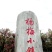 金灶徐寮村杨梅