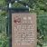 金灶徐寮村杨梅