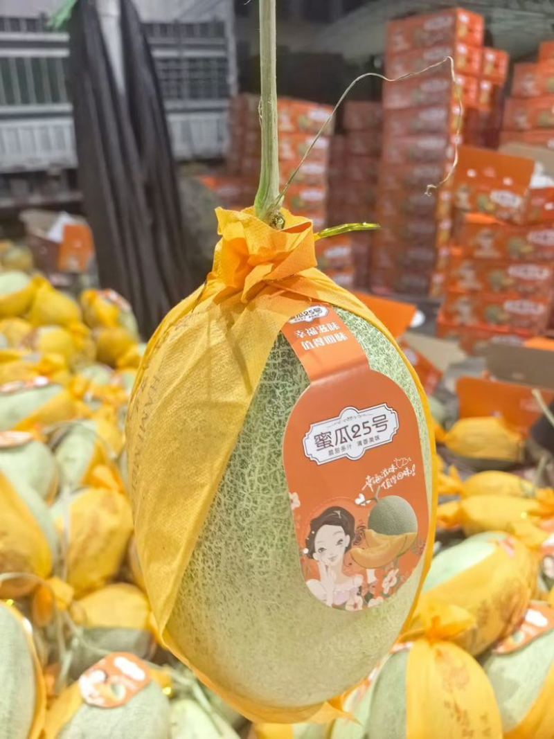 哈密瓜