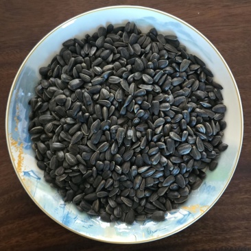 新疆黑珍珠大颗粒炒货油葵