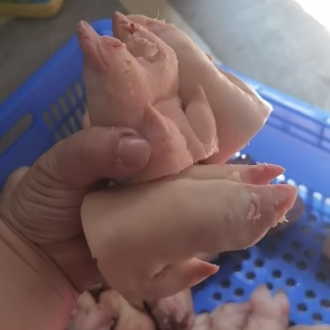 猪蹄尖猪蹄块自己加工厂可发样品