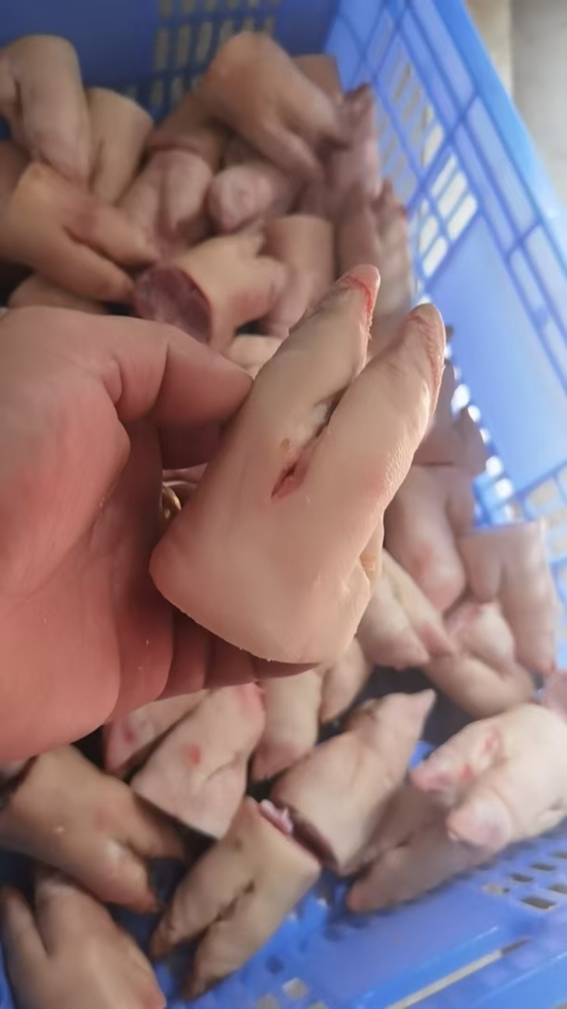 猪蹄尖猪蹄块自己加工厂可发样品