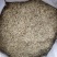 甘肃兰州有20顿冷地早熟禾还有披肩草优质草籽量大从
