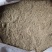 甘肃兰州有20顿冷地早熟禾还有披肩草优质草籽量大从