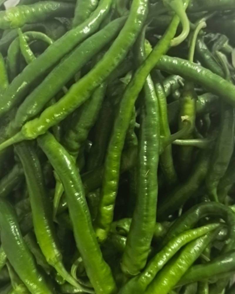 香辣王，罗线椒，大青椒