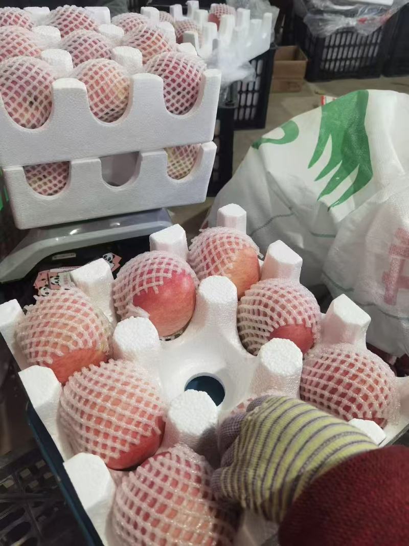 电商一件代发红富士苹果