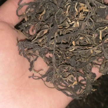 云南保山千年茶乡昌宁红茶