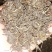 云南保山千年茶乡昌宁红茶