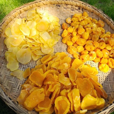 干洋芋片干/洋芋果/鲜新上市土豆