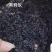 贵州黑蚂蚁