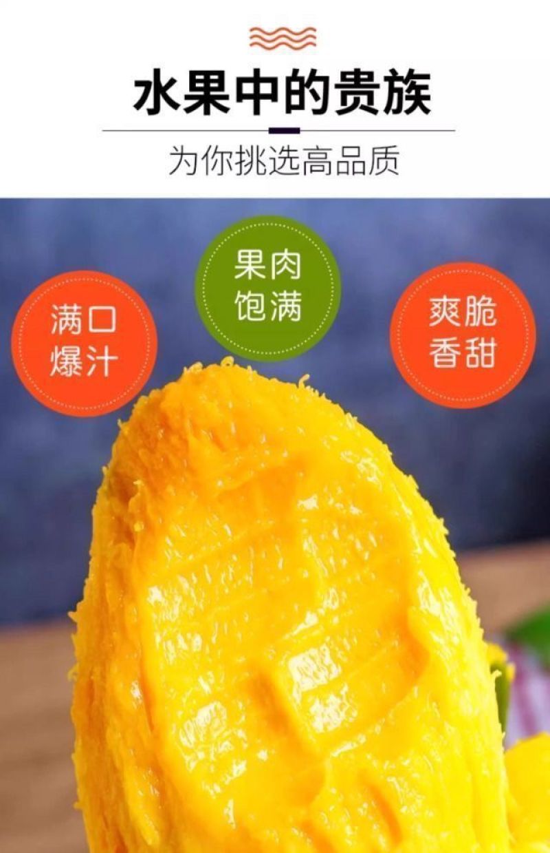 海南套袋细皮精品特级纸核金煌芒水仙芒，果地看货，可开发票