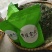 安徽皖南川藏线高山茶