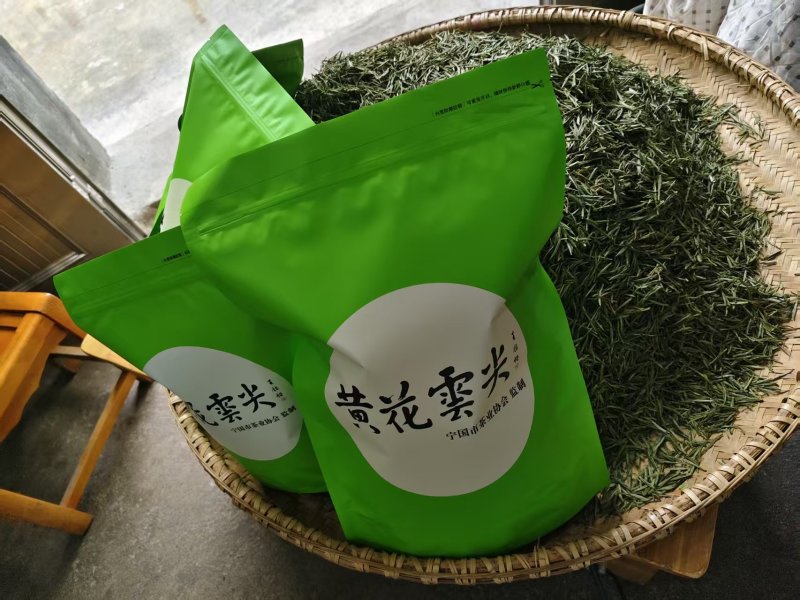 安徽皖南川藏线高山茶