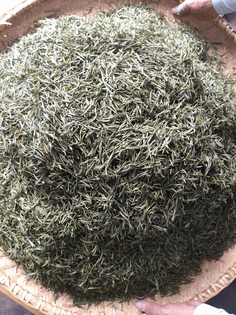 安徽皖南川藏线高山茶