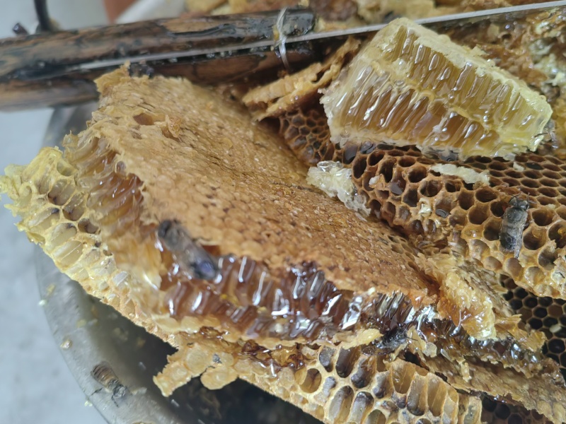 野生蜂蜜