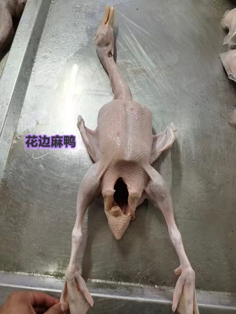 花边麻鸭,规格齐全,工厂直接发货资质齐全