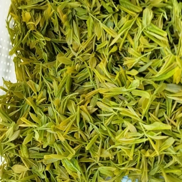 广德黄金芽