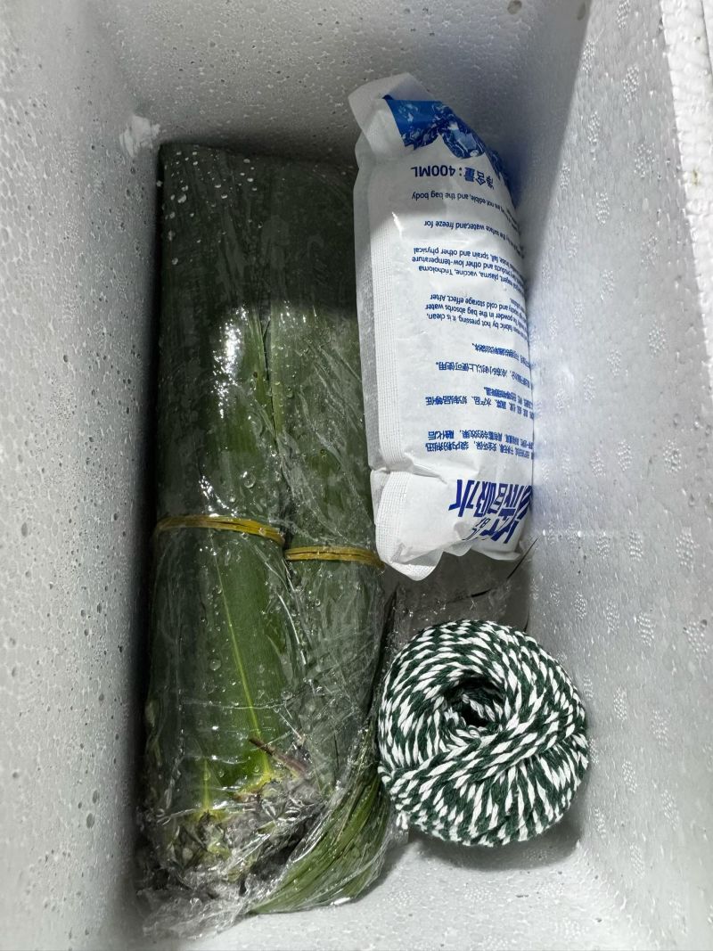 电商一件代发粽叶