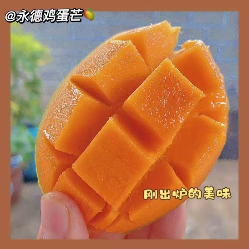 椰香芒/鸡蛋芒精品果市场货、次果都有产地直发