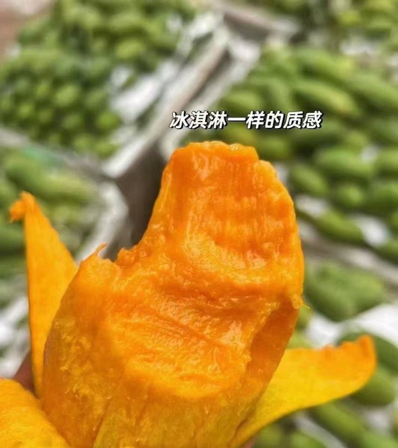 椰香芒/鸡蛋芒精品果市场货、次果都有产地直发