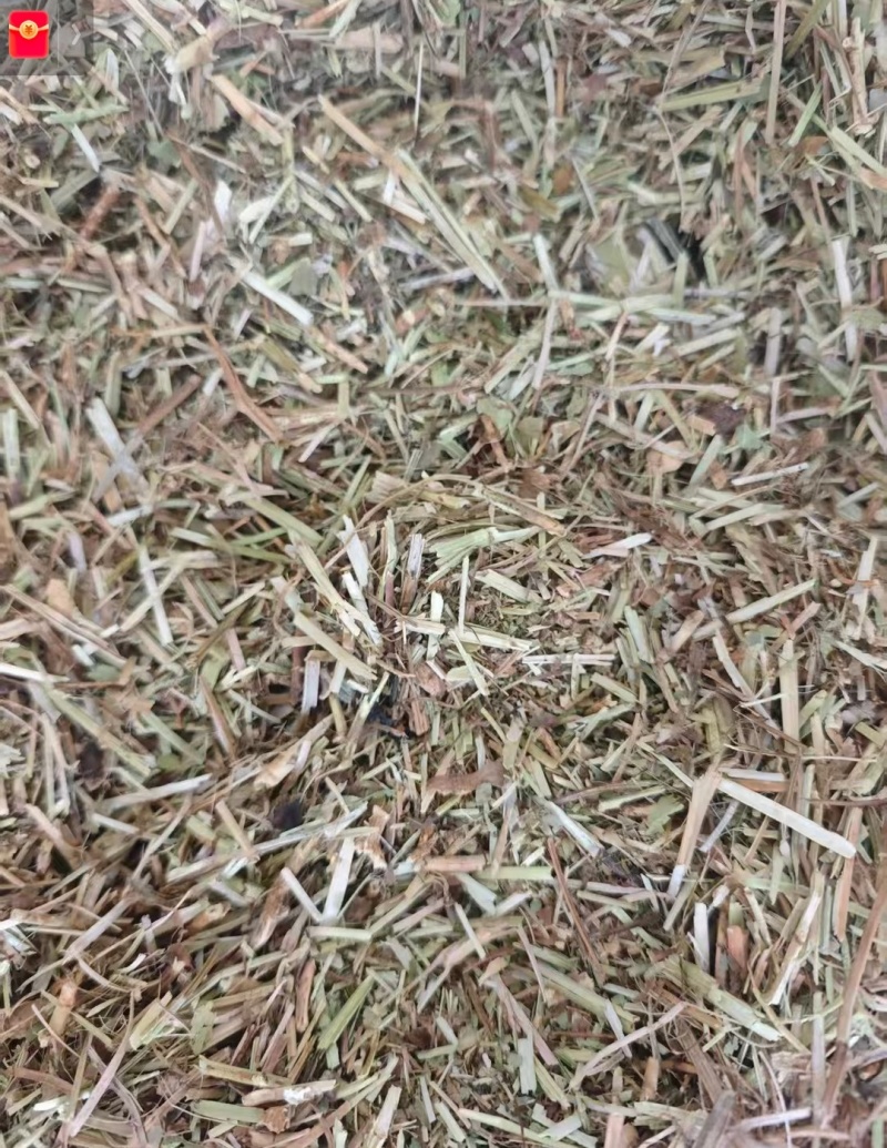 花生秧草料，东北吉林一手货源，助力农业畜牧产业，全国批发