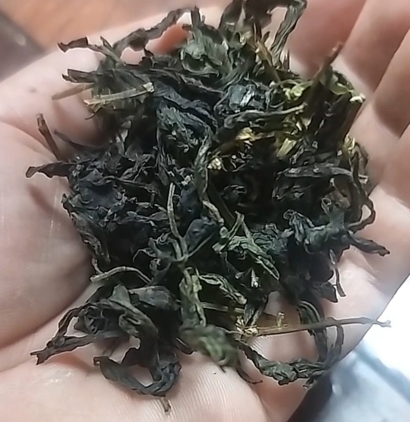 黄旦茶，奇兰茶