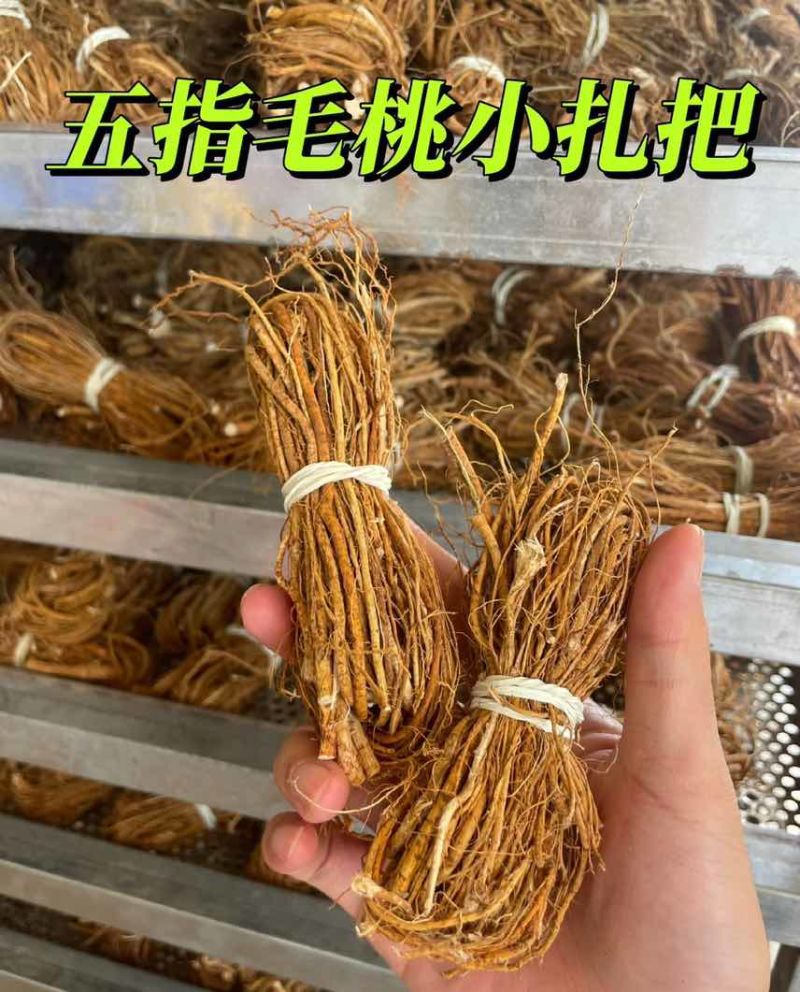 河源小扎把五指毛桃批量供应品质**长期供货稳定量大更优惠