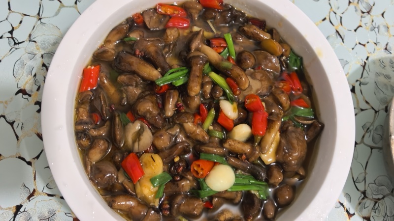 野生黄牛肝菌