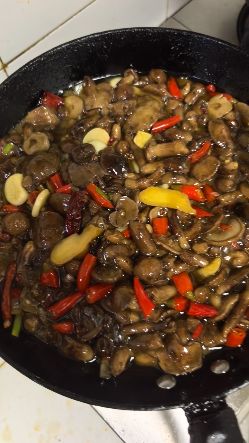 野生黄牛肝菌